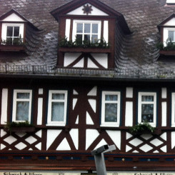 Bild [3]: Die Raute