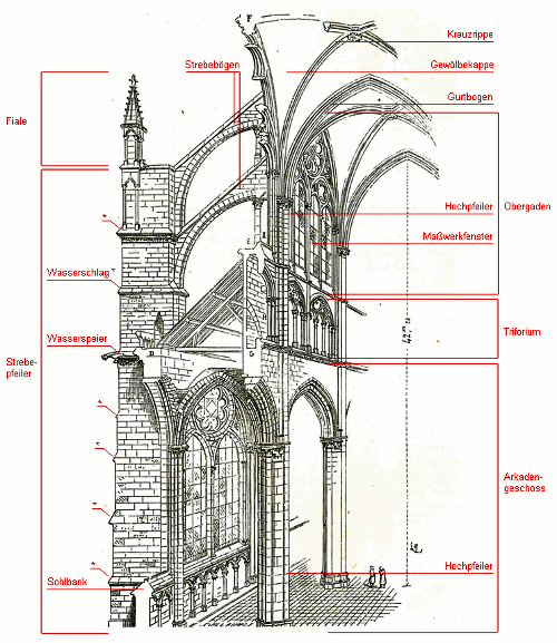 Bild [1]: Isometrie des Strebewerks von der Kathedrale in Amiens